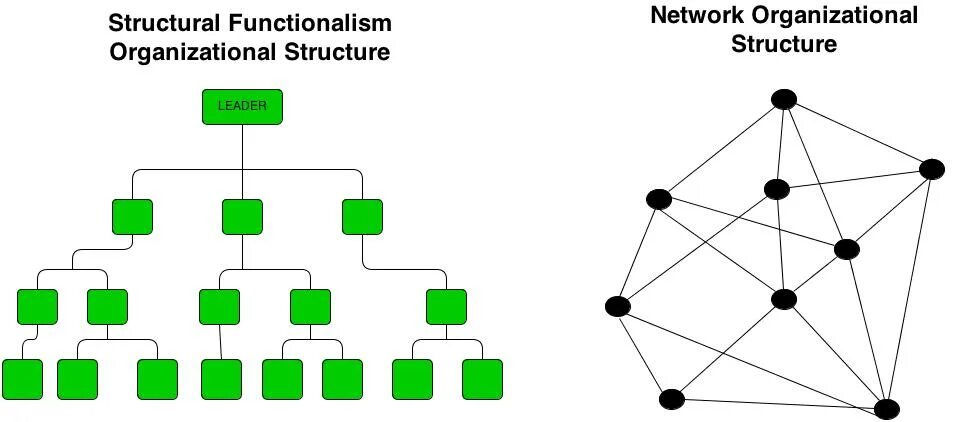 Network Organizational structure. Структурный функционализм картинки. Network structure of any Organization. Структура PNG.