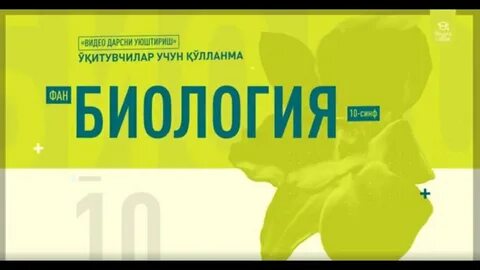 Видеоурок по биологии 11 класс