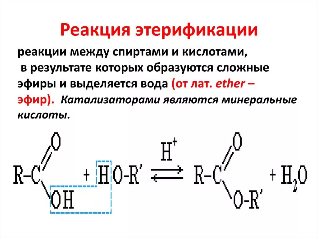 Реакцией этерификации называется взаимодействие спирта с. Реакция этарификации кат. Реакция этерификации механизм реакции. Реакция этерификации катализатор. Реакция этерификации карбоновых кислот катализатор.