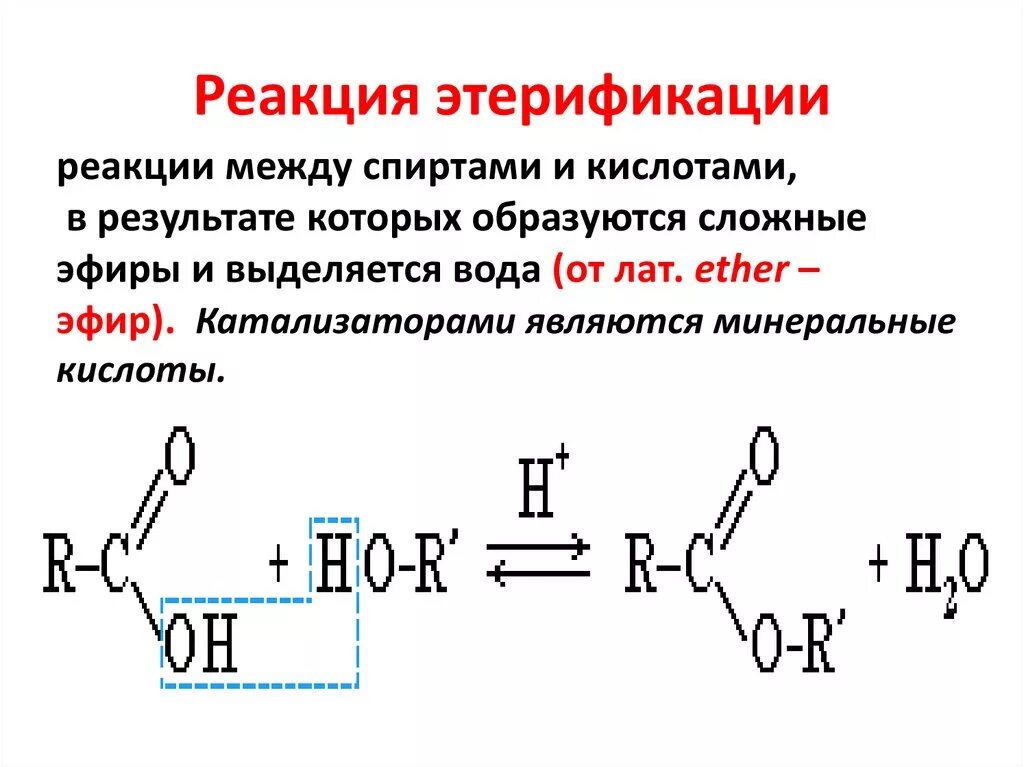 Реакция в результате которой образуется новое. Реакция этарификации кат. Реакция этерификации механизм реакции. Реакция этерификации катализатор. Реакция этерификации карбоновых кислот катализатор.