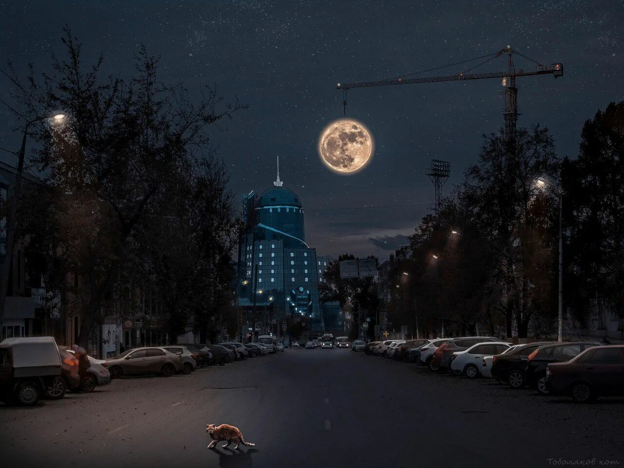 Кто дать ночь. Ночные улицы самары. ночной город самара. ночь. самара ночью улицы.