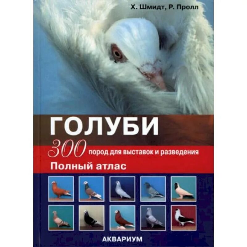 Книжки про голубей. Все о голубях книга. Голубеводство книга. Энциклопедия про голубей. Книжки про голубей.