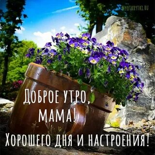 Добрый день дорогие мамочки