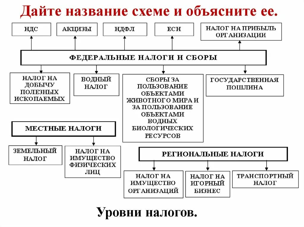 Уровни налогов (схема с примерами). Виды налогов и уровни налогов. Налоги по уровню налогообложения. Налоги схема. Типы налогов уровни