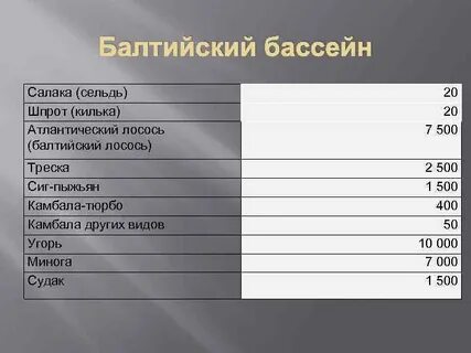 Балтийский бассейн