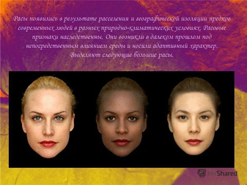 Смешанные расы схема. Самбо раса. В результате рас. Смешанные расы. В результате рас.