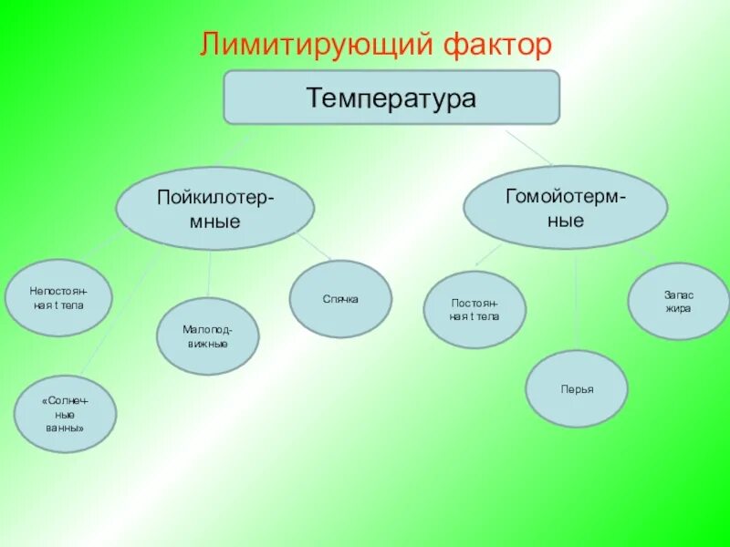 Лимитирующий фактор. Лимитирующие факторы примеры. Лимитирующие экологические факторы примеры. Лимитирующие факторы для растений. Лимитирующие факторы лесов