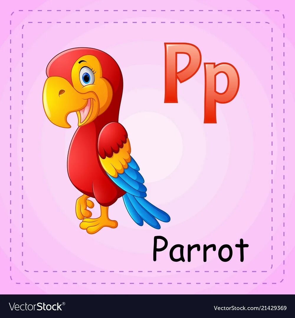 Попугай по английскому языку. Карточки по английскому попугай. Азбука попугай буква п. Parrot со словом для детей.