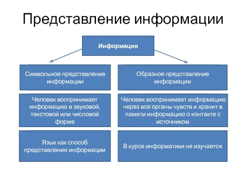 Представление информации. Информация. Представление информации. Образное представление информации. Представление информации Информатика. Представление информации 10 класс