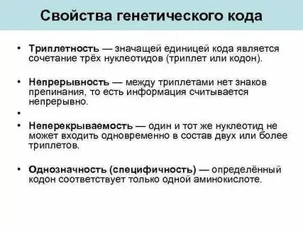 Спейсеры это в генетике