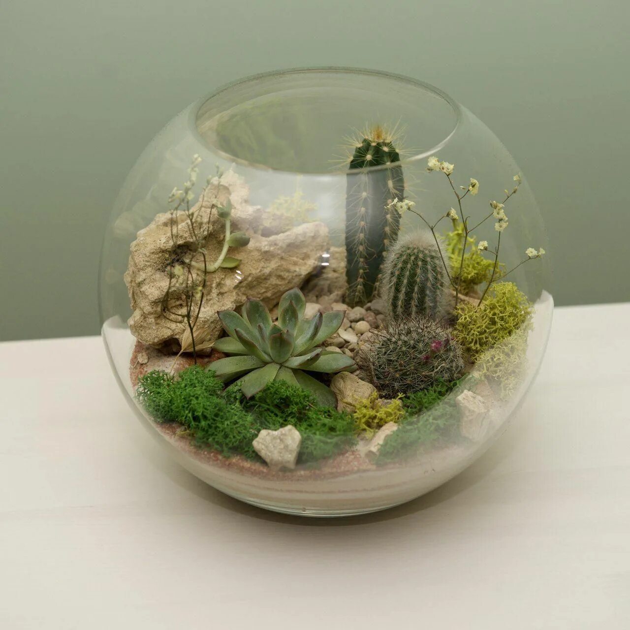 Флорариум с кактусами. Флорариум с кактусами. Кактусы в аквариуме. Суккуленты террариум флорариум. Кактусы в аквариуме.