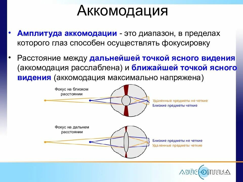 Амплитуда аккомодации методы исследования. Дальняя и Ближняя точки аккомодации нормального глаза. Аккомодация глаза. Исследование аккомодации глаза. Расстояние аккомодации