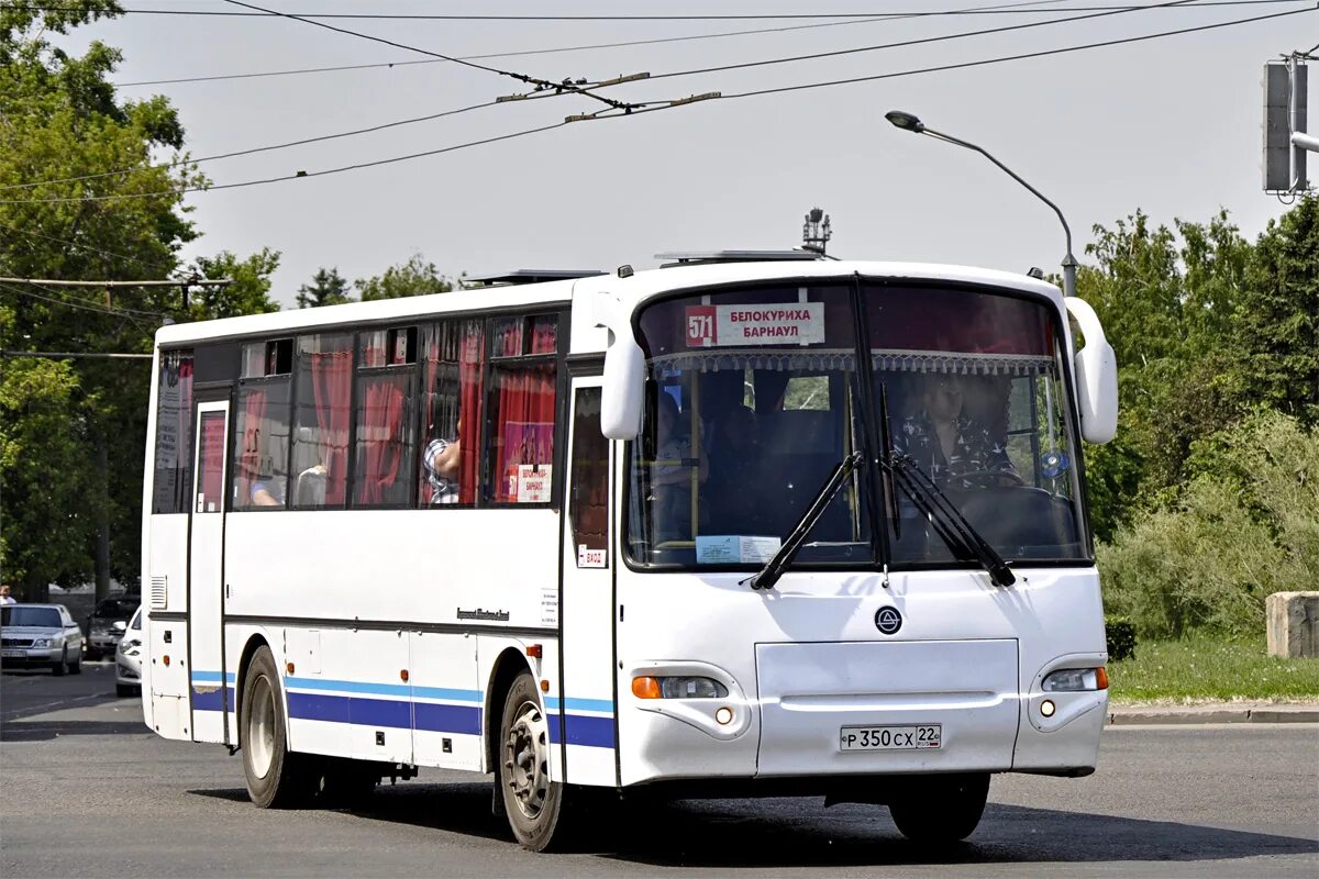 Бийск белокуриха автобус цена. Алтайский край КАВЗ 4238. Автобус Барнаул Белокуриха. 571 Барнаул - Белокуриха. Барнаул автобус р249тм22.