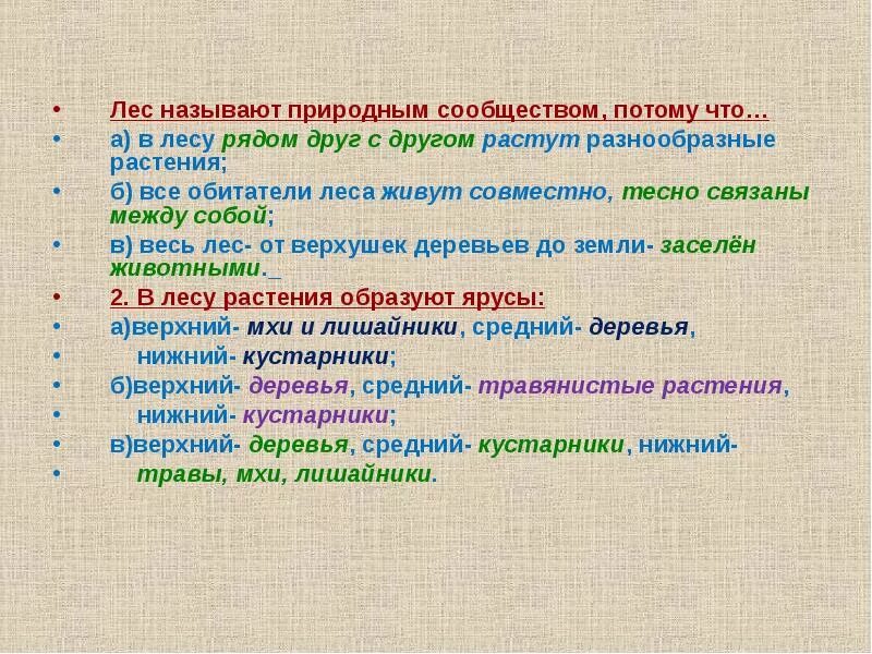 Почему лес называют сообществом. Почему лес называют природным сообществом. Природное сообщество лес. Рассказ о сообществе лес. Рассказ почему лес называют сообществом