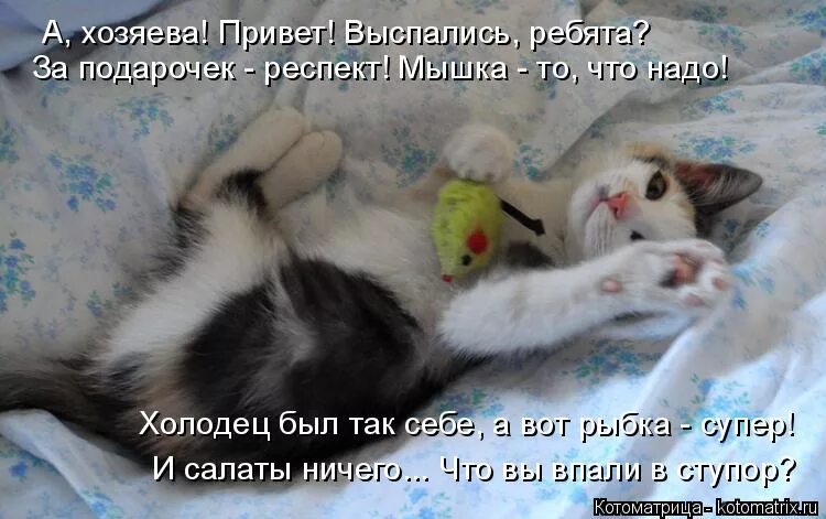 сергей есенин стих ветер веет с юга и луна взошла. сергею есенину маяковский. парень проснулся. главное выспаться картинки прикольные. человек просыпается.