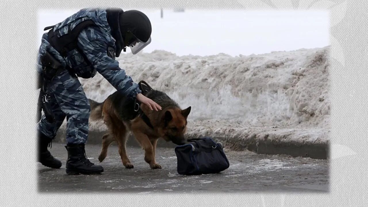 Видео про опасности