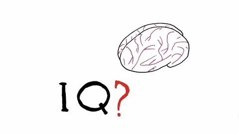 Iq 1