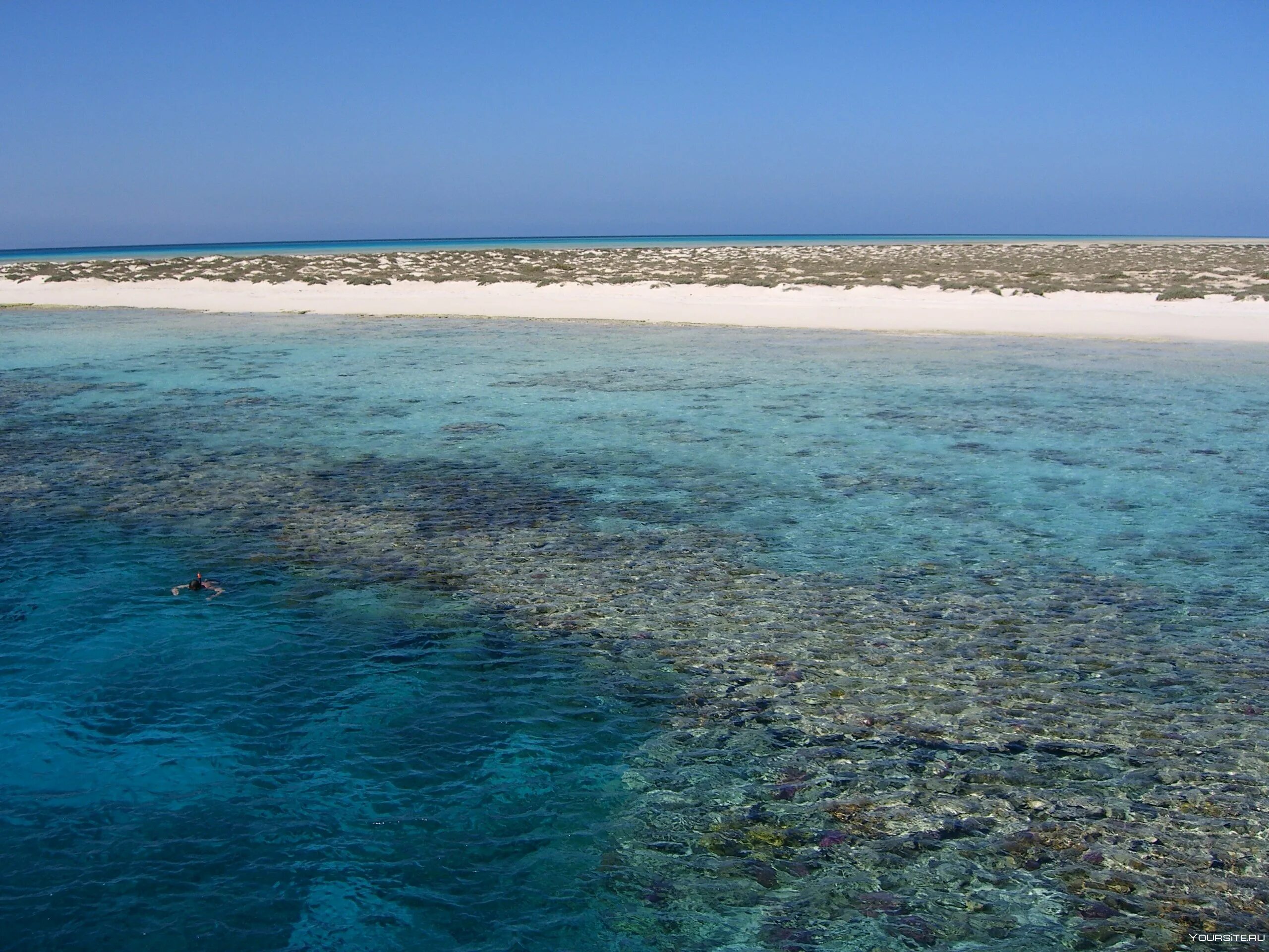 Самое теплое и соленое море африки. Аравийское побережье красного моря. Красное море Египет. Египетское красное море. Акватория красного моря.