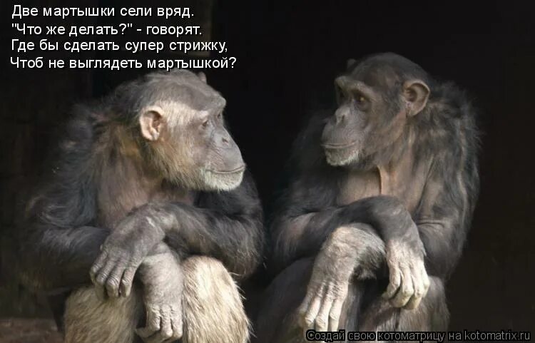 Мне не мешать я сплю. Котик с закрытыми глазами. Кот со всех сторон. Смотрю что то не вижу. Я все вижу вы не работаете.