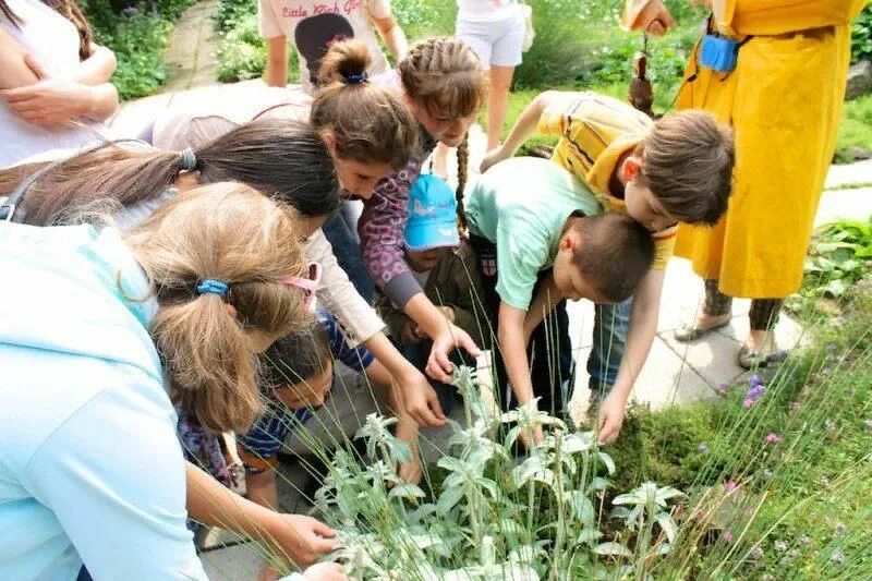 Уроки экологического воспитания. Экологическое воспитание. Экскурсия на природу. Экскурсия в саду. Экскурсии для школьников.