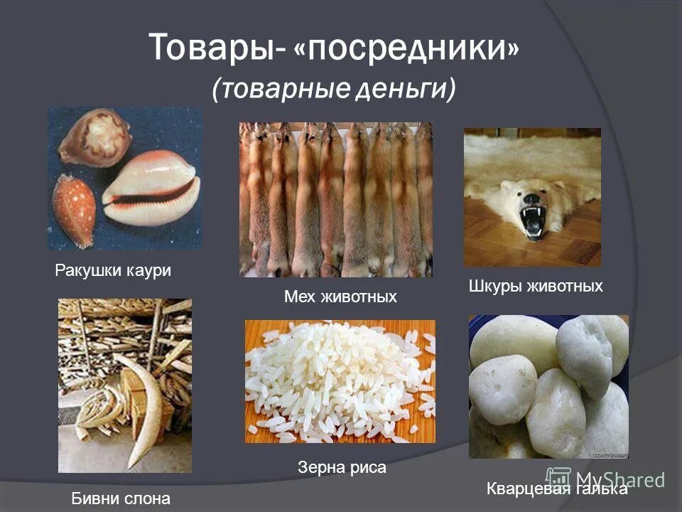 товарные деньги определение. товарные деньги. товарные деньги определение. деньги виды денег. первые товарные деньги.