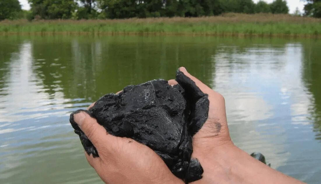 Заиливание дна реки. Дмитров березлаец речка. Тина в речке. Сапропелевый ил. Р ила.