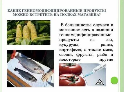 Продукты гмо маркировка