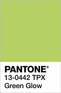 Краска pantone mushroom