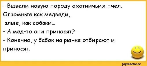 Твоими да мед пить. Анекдоты про пчеловодов и пчёл. Анекдоты про пчел. Анекдот про мед. Анекдот про пчеловода.