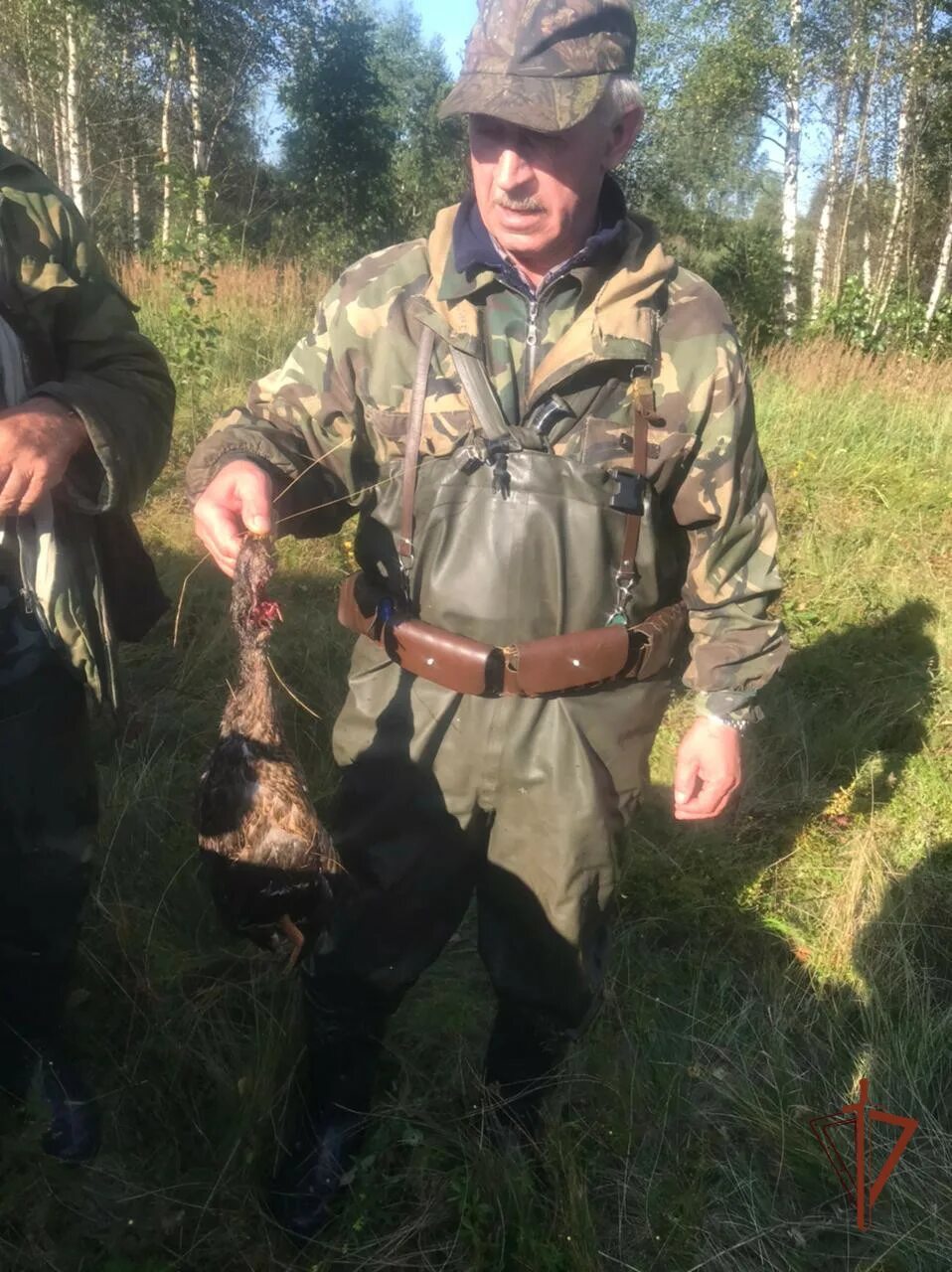Брянский охотничий. Брянский охотничий