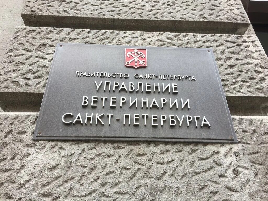 Управление спб