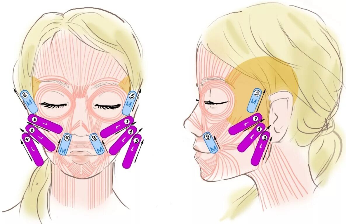 Тейпирование носогубных складок схема. Тейпирование кисетных морщин. Схема тейпирования лица от морщин. Тейпирование морщин марионеток схема. Тейпирование лица схемы.
