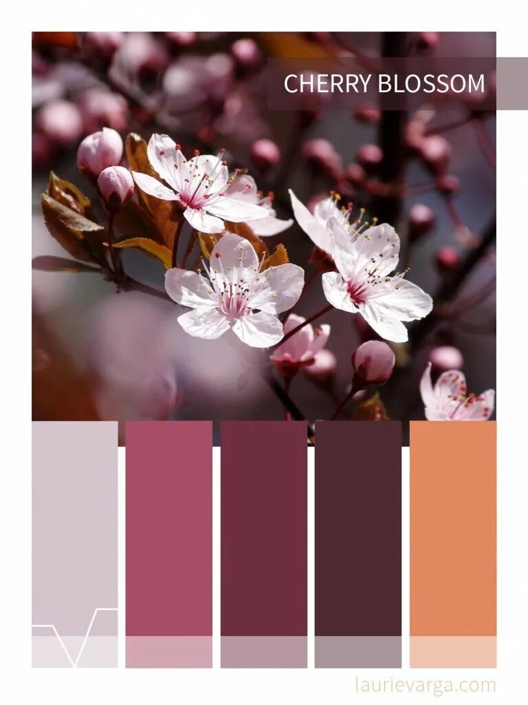 Цвет вишня сочетание с другими Ирина Максимова Paint color schemes, Color harmony, Color schemes