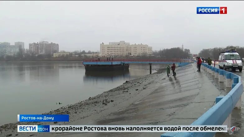 Северное водохранилище Ростов кувшинка. Северное водохранилище Ростов на Дону. Дамба на Северном Ростов-на-Дону. Дамба Ростов Северный. Ростов на дону без воды