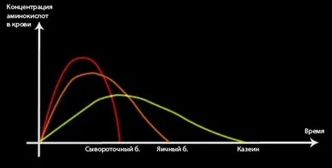 Скорость усвоения