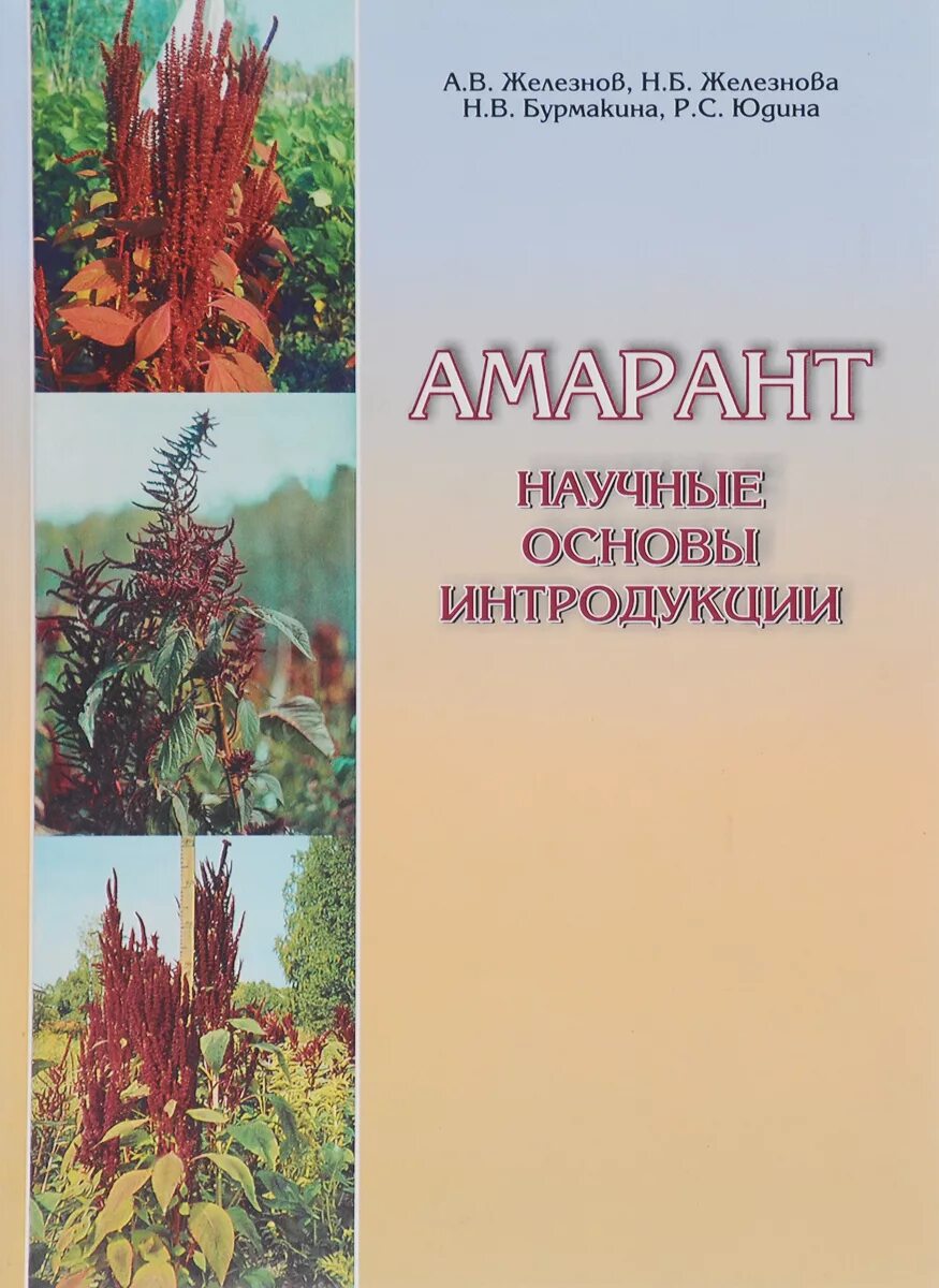 Амарант королевский. Амарант хвостатый. Амарант вельвет. Амаранта читать. Цветок амарант хвостатый.