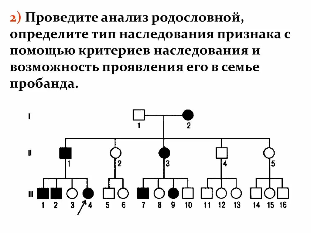 Виды генеалогических исследований