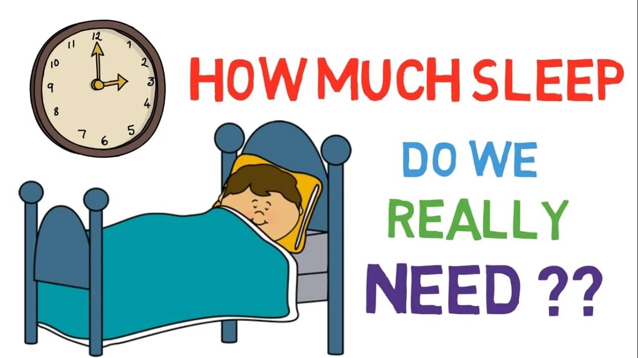 How much Sleep do we need. How do i Sleep. How many hours Sleep. Need for Sleep. When do you sleep