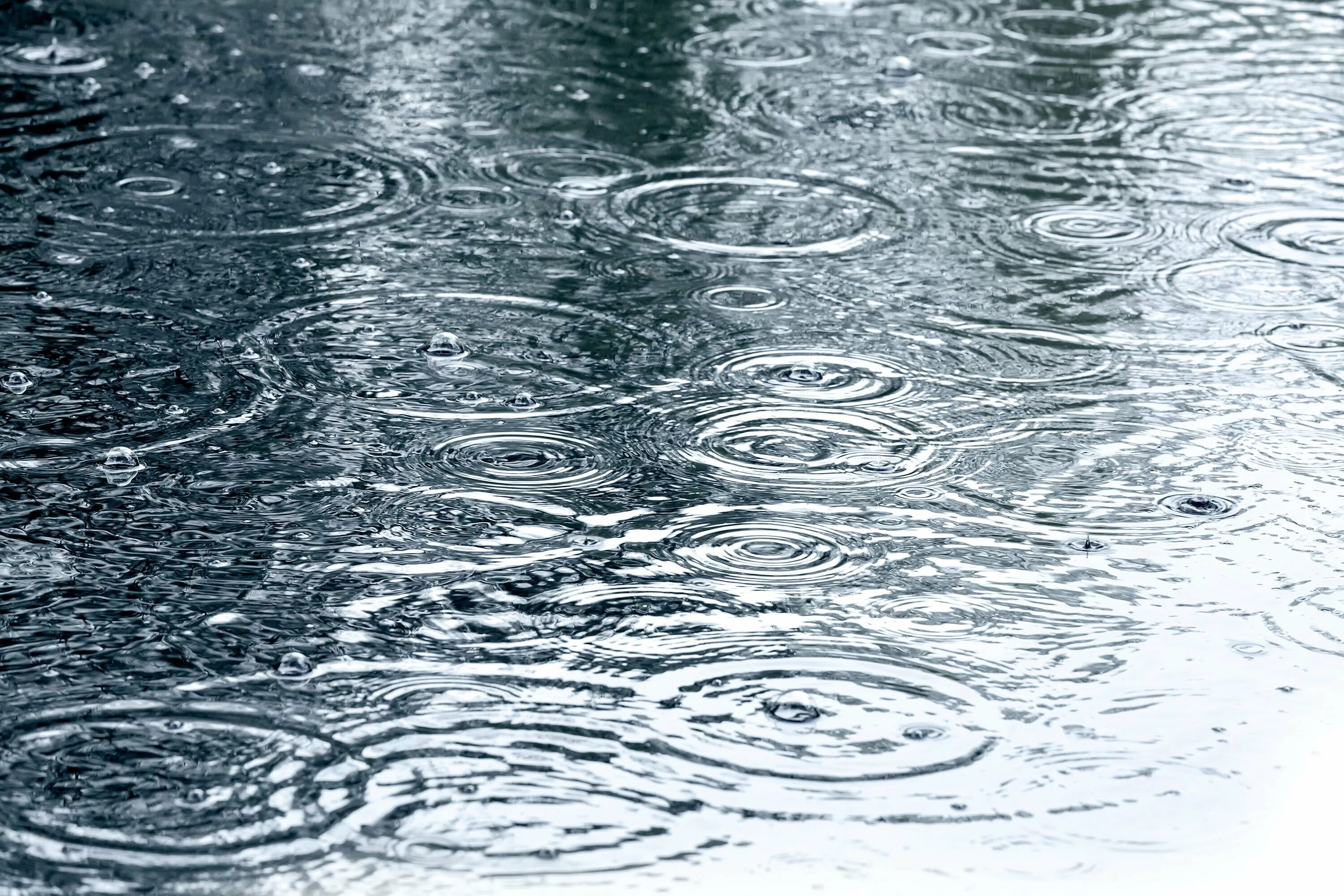 Капли дождя на воде. Капли дождя. Дождь лужи. Текстура дождя. Капли на луже.