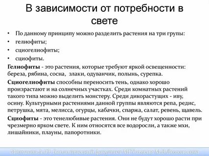 Сциофиты примеры