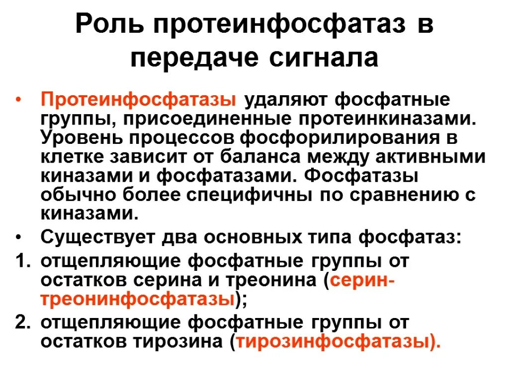 Протеинкиназы и протеинфосфатазы. Роль протеинфосфатазы. Протеинкиназы. Фосфопротеинфосфатазы.. Фосфопротеинфосфатаза класс фермента. Сигнала фермент