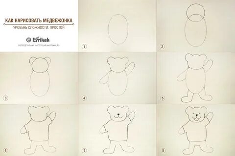 Рисуем мишку поэтапно