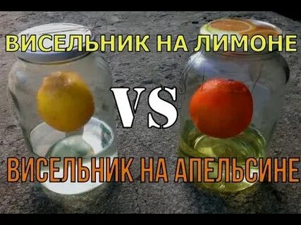 Висельник на апельсине