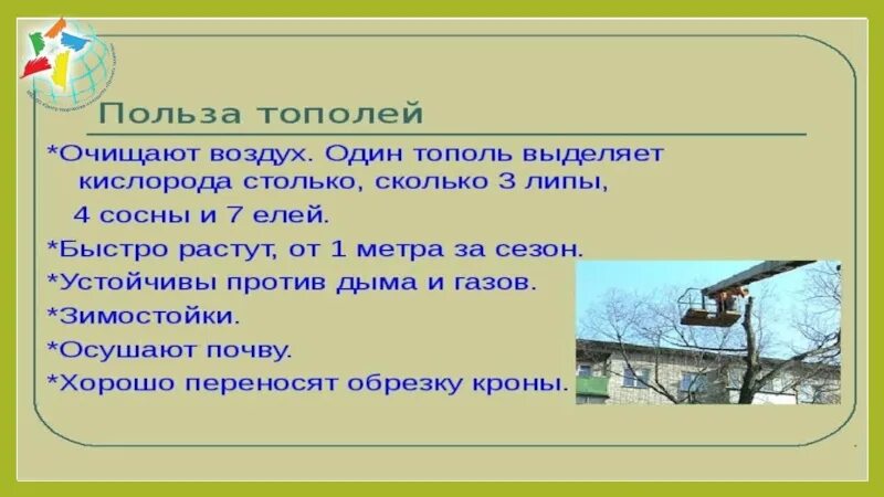 Как осиновый лист значение фразеологизма. Дрожит как осиновый лист значение. Дрожать как осиновый лист фразеологизм. Объяснить выражение дрожит серая осина. Что значит фразеологизм как осиновый лист дрожать.