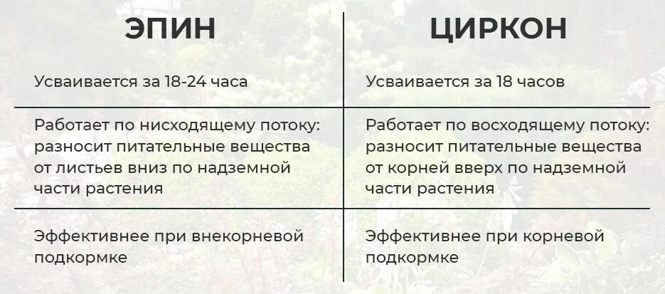 Циркон дозировка. Эпин Экстра и циркон. Эпин и циркон отличия. Цирконий Эпин что это.