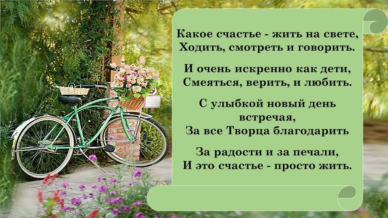Стихи о счастье. Стихи о жизни и счастье. Какое счастье жить на свете когда. Какое счастье видеть вас. Счастье это просто стих.