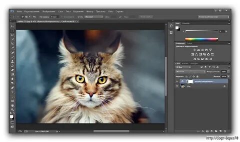 Фоторедактор адоб