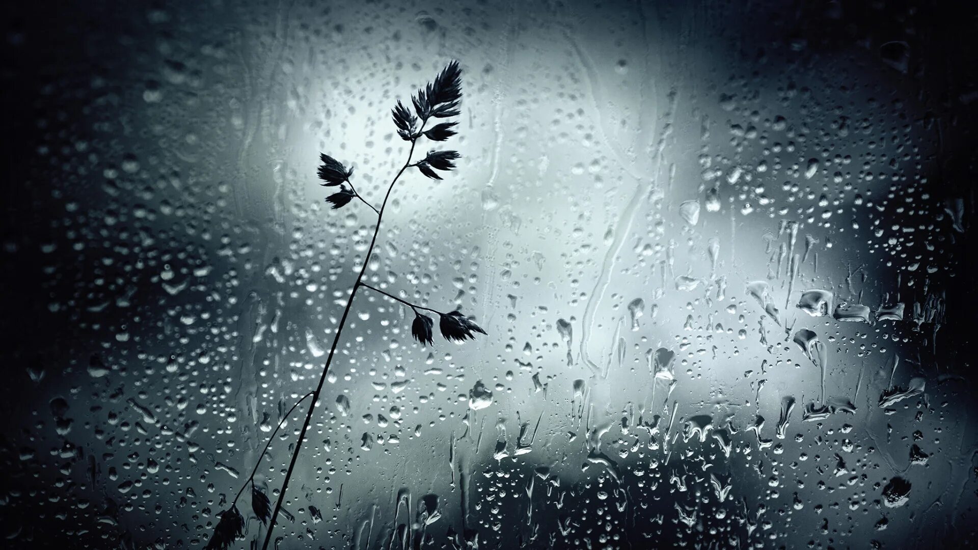 Дождь на стекле. Дождь фон. Капли на стекле. Капли дождя на стекле.