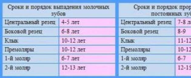 Когда выпадают молочные зубы у детей возраст. Во сколько выпадают молочные зубы у детей. во сколько лет выпадают молочные зубы у детей. у детей выпадают молочные зубы схема. выпадение молочных зубов у детей по возрасту схема.