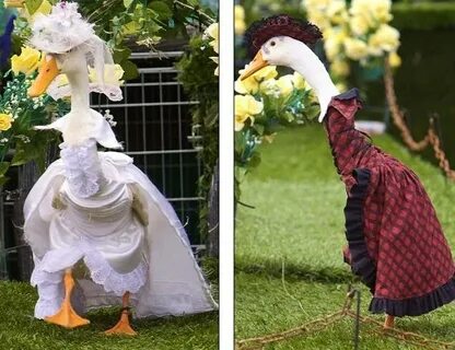 Goose моды